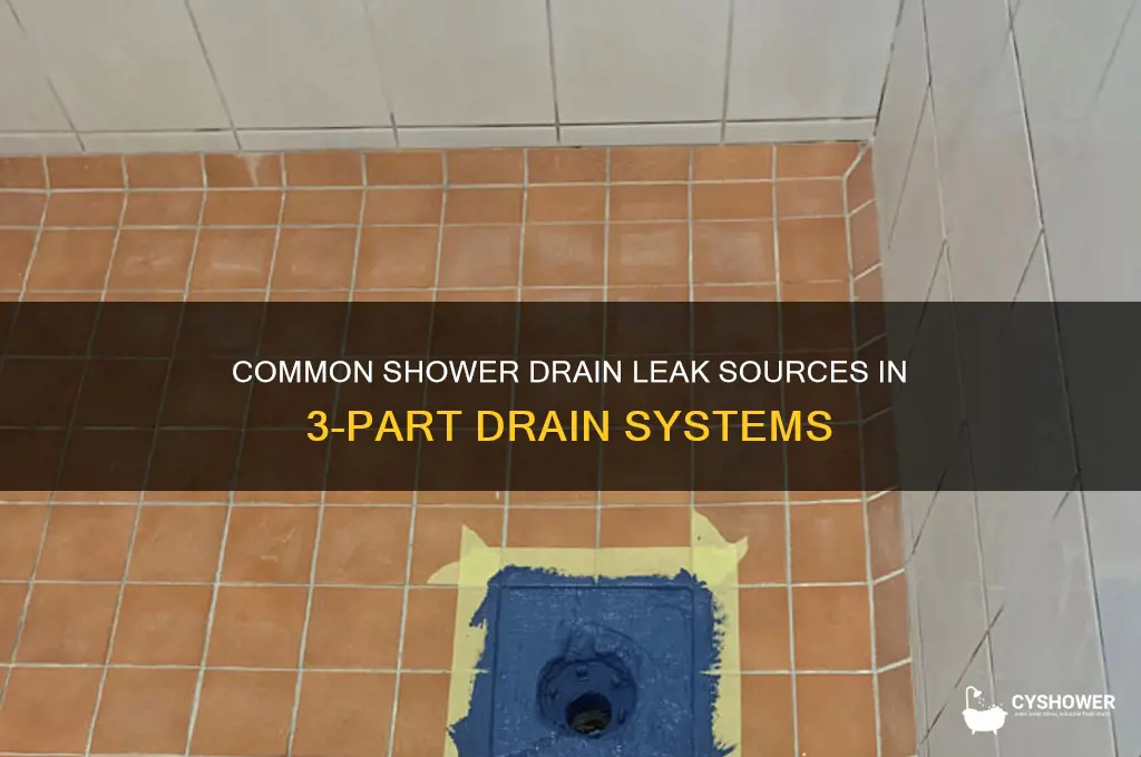 where can a shower drain leak from 3 part drain