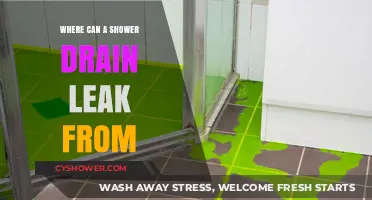 Common Shower Drain Leak Sources and How to Fix Them