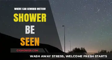 Geminid Meteor Shower: Best Viewing Locations Worldwide This December