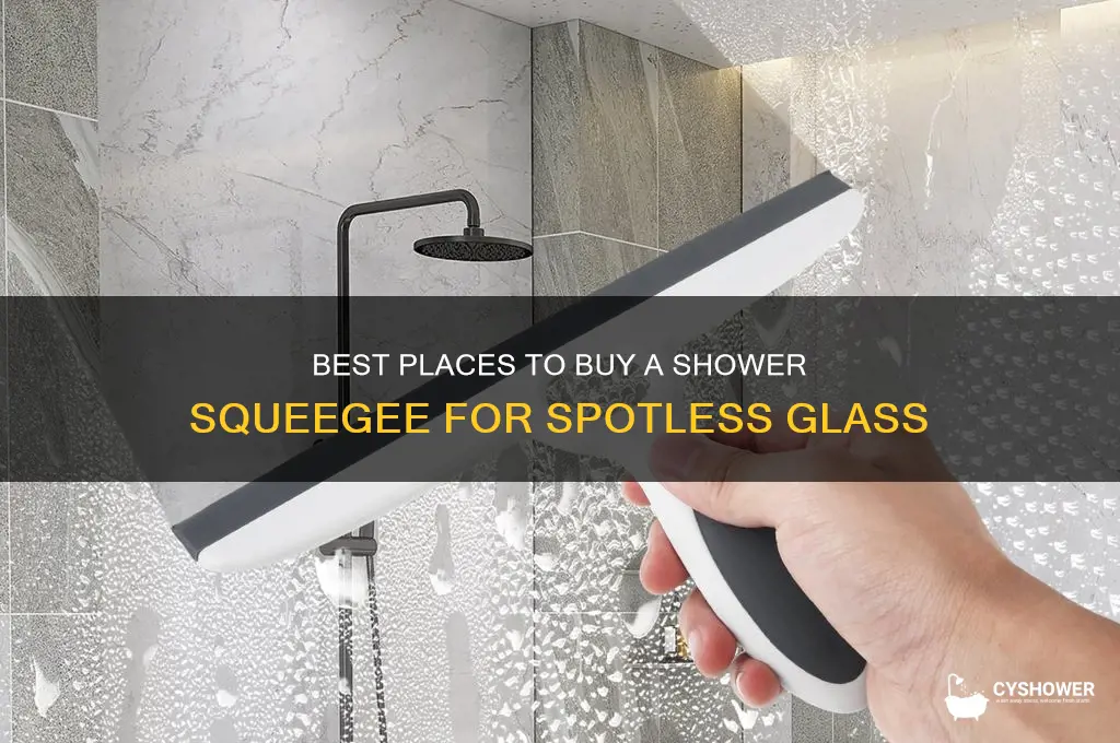 where can i buy a shower squeegee