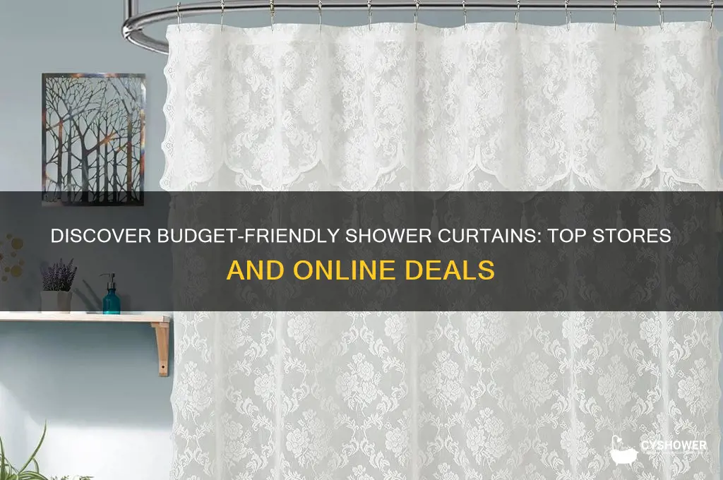 where can i buy affordable shower curtains