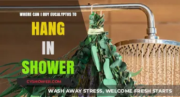 Best Places to Buy Eucalyptus for Your Shower Experience