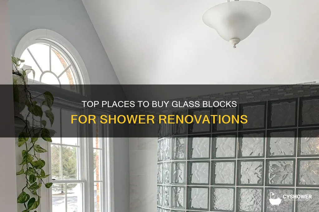 where can i buy glass block for shower