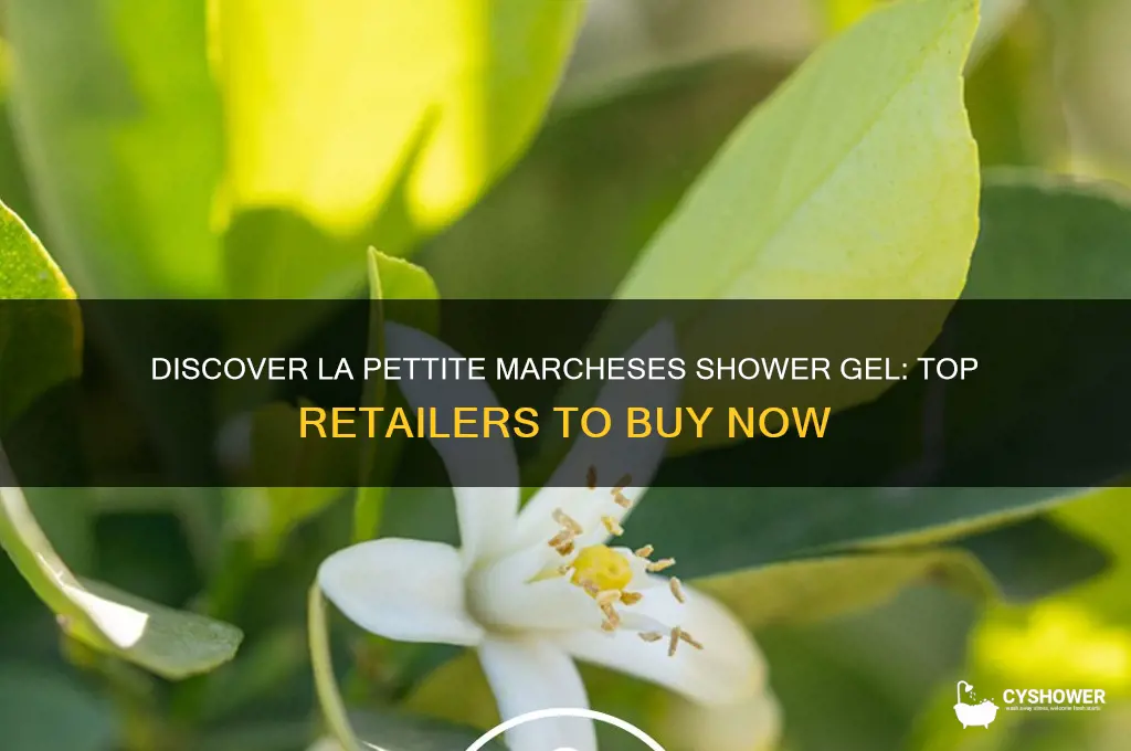 where can i buy la pettite marcheses shower gel