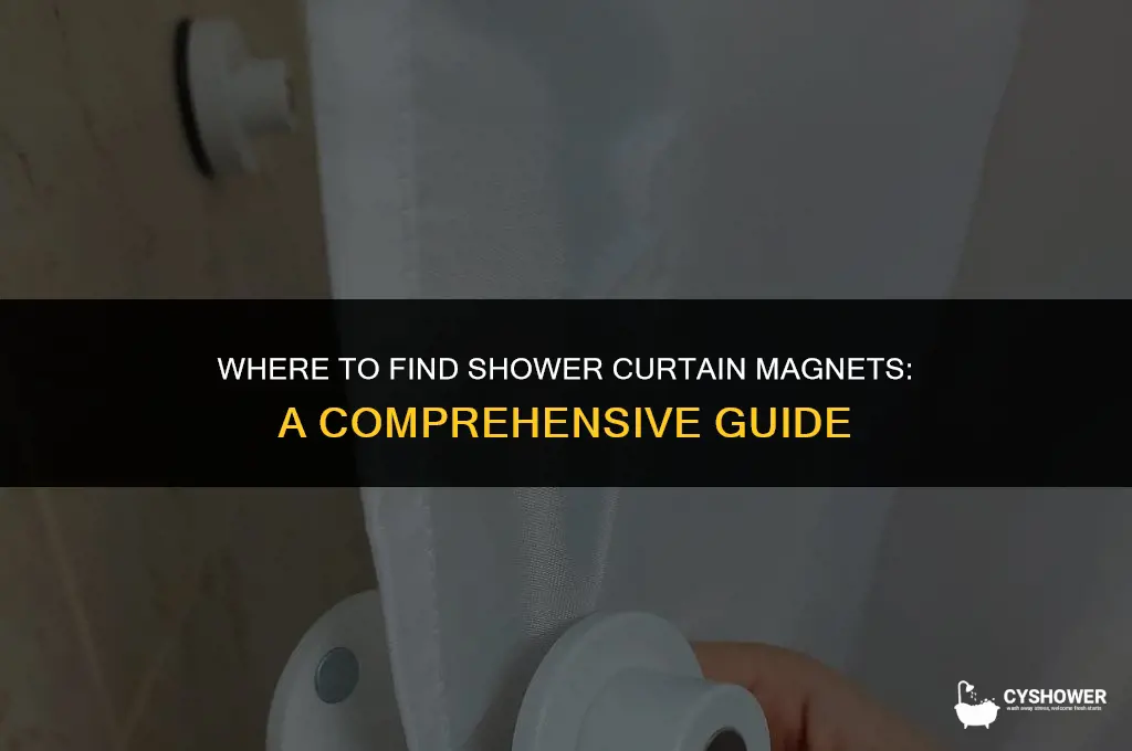 where can i buy shower curtain magnets