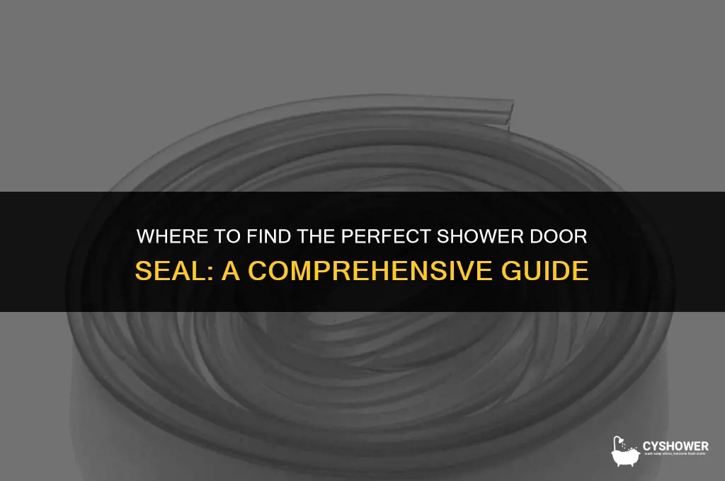 where can i buy shower door seal
