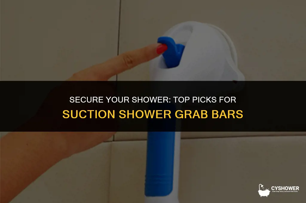 where can i buy suction shower grab bars