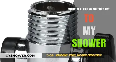 Locating Your Shower Shutoff Valve: A Quick Guide