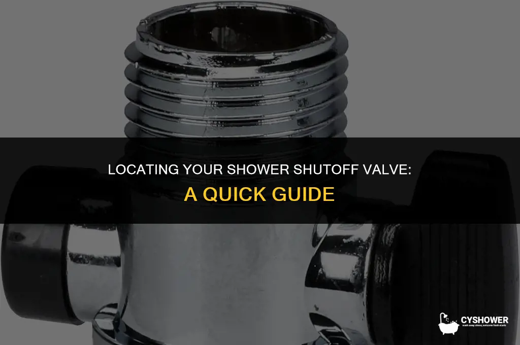where can i find my shutoff valve to my shower