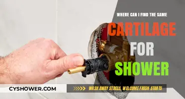 Where to Find the Same Cartilage for Your Shower: A Comprehensive Guide