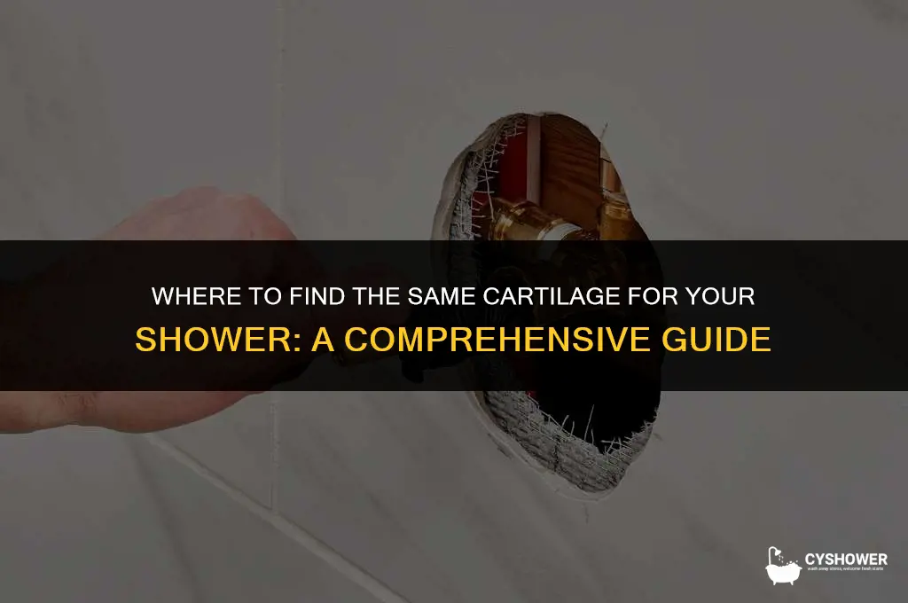 where can i find the same cartilage for shower