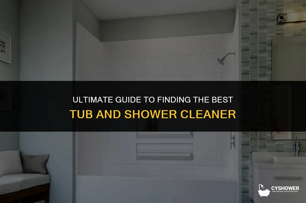 where can i find the works tub and shower cleaner