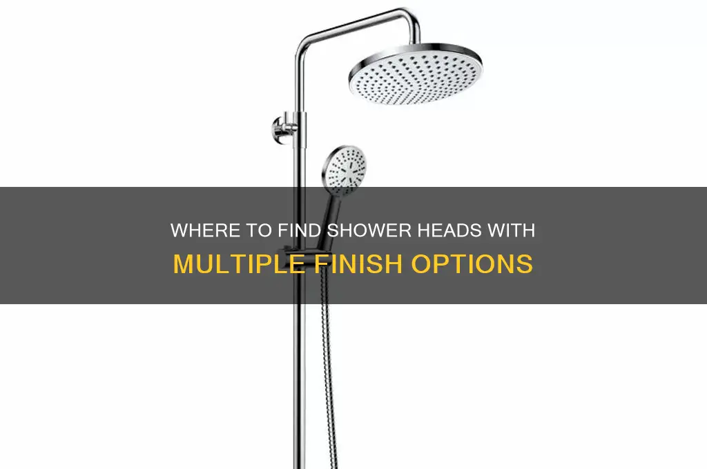 where can i get a shower head with multiple finishes