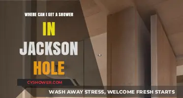 Jackson Hole Shower Guide: Top Spots to Freshen Up Fast