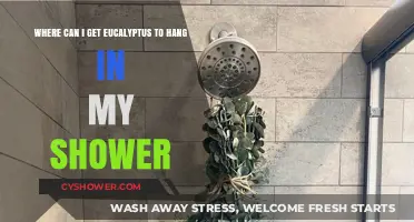 Where to Find Eucalyptus for a Refreshing Shower Experience