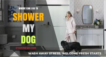 Where Can I Go to Shower My Dog: A Comprehensive Guide