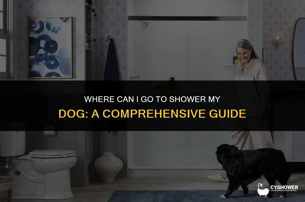 where can i go to shower my dog