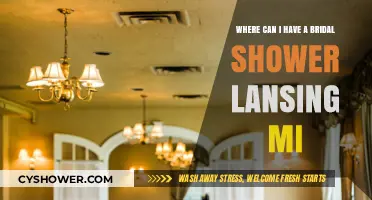 Top Bridal Shower Venues in Lansing, MI: Celebrate in Style
