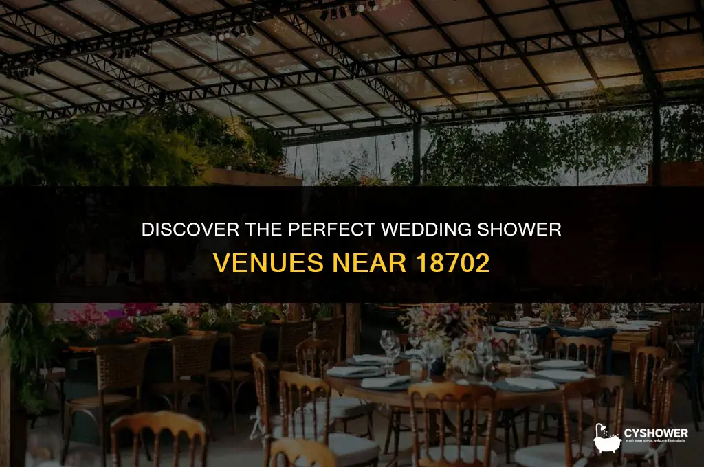 where can i have a wedding shower near 18702