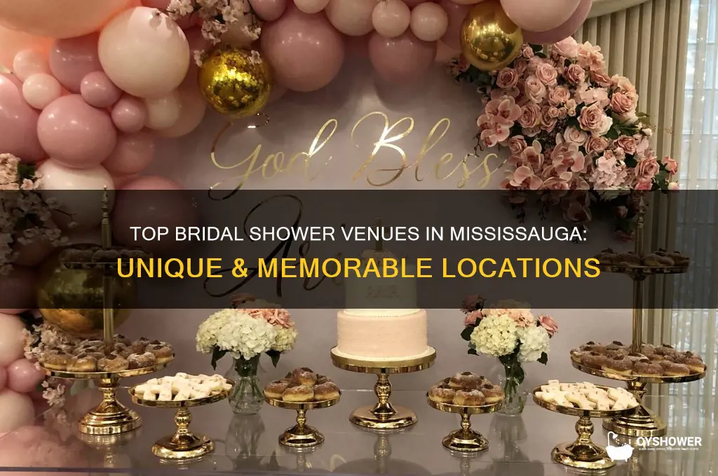 where can i hold a bridal shower in mississauga
