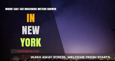 Best Spots in New York to Watch the Draconids Meteor Shower