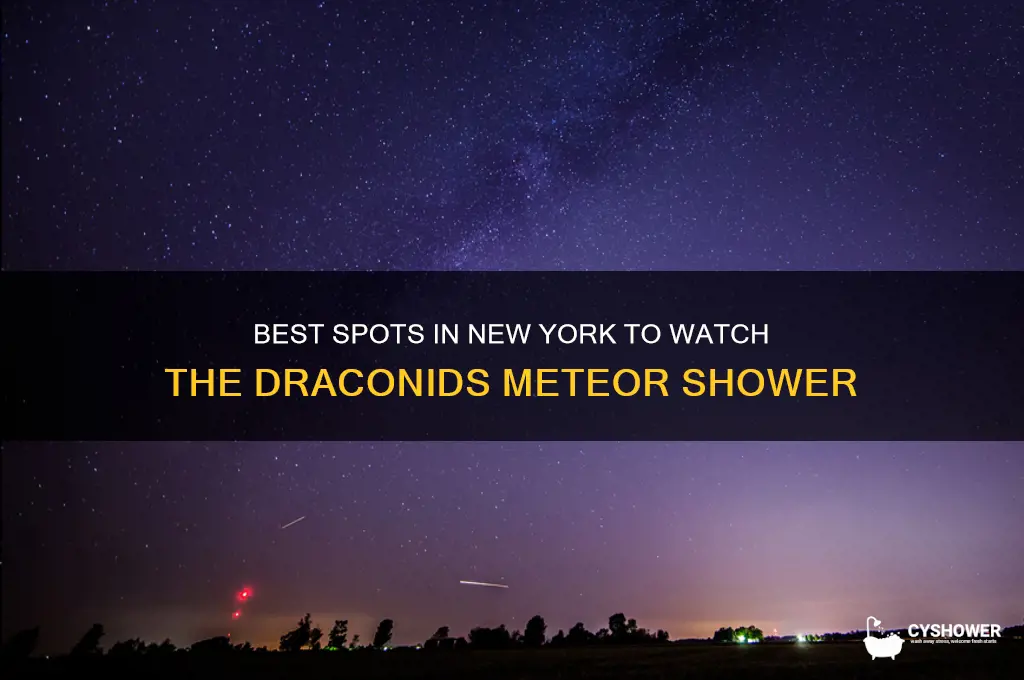 where can i see draconids meteor shower in new york