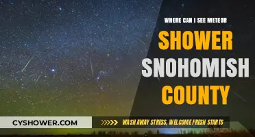 Best Spots to Watch Meteor Showers in Snohomish County
