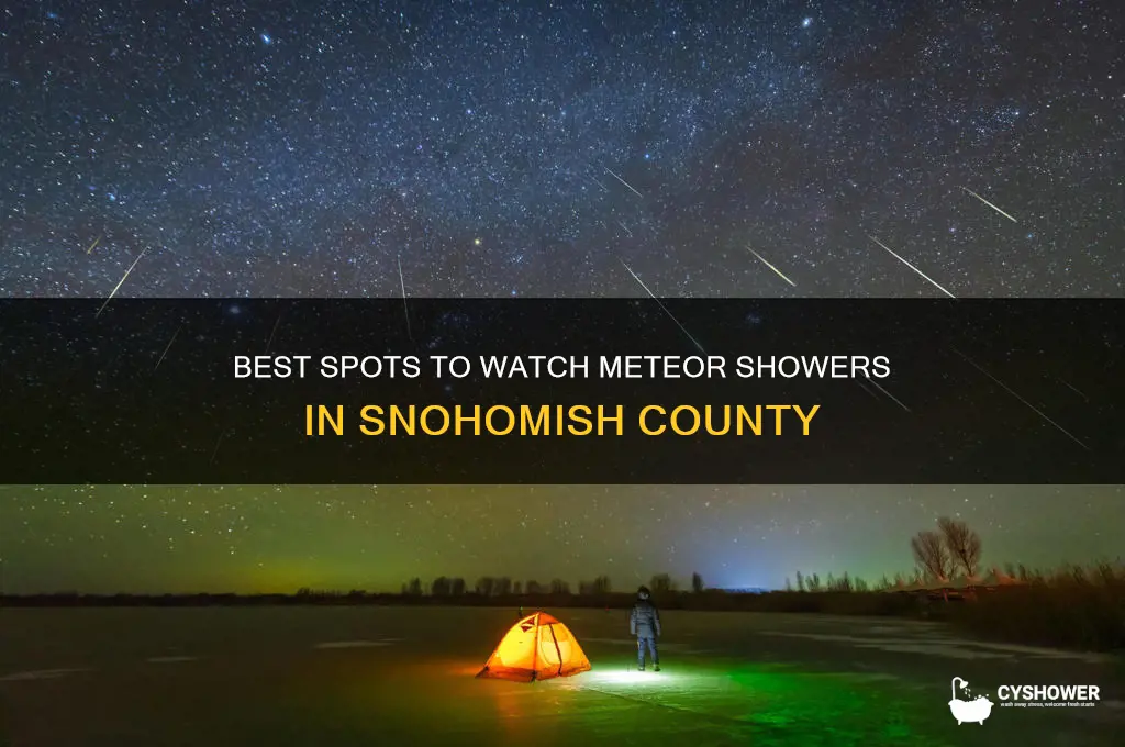 where can i see meteor shower snohomish county