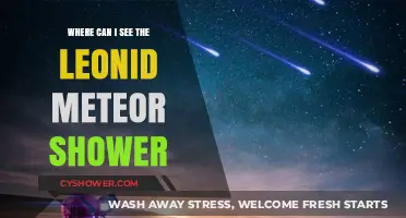 Best Viewing Spots for the Leonid Meteor Shower This Year