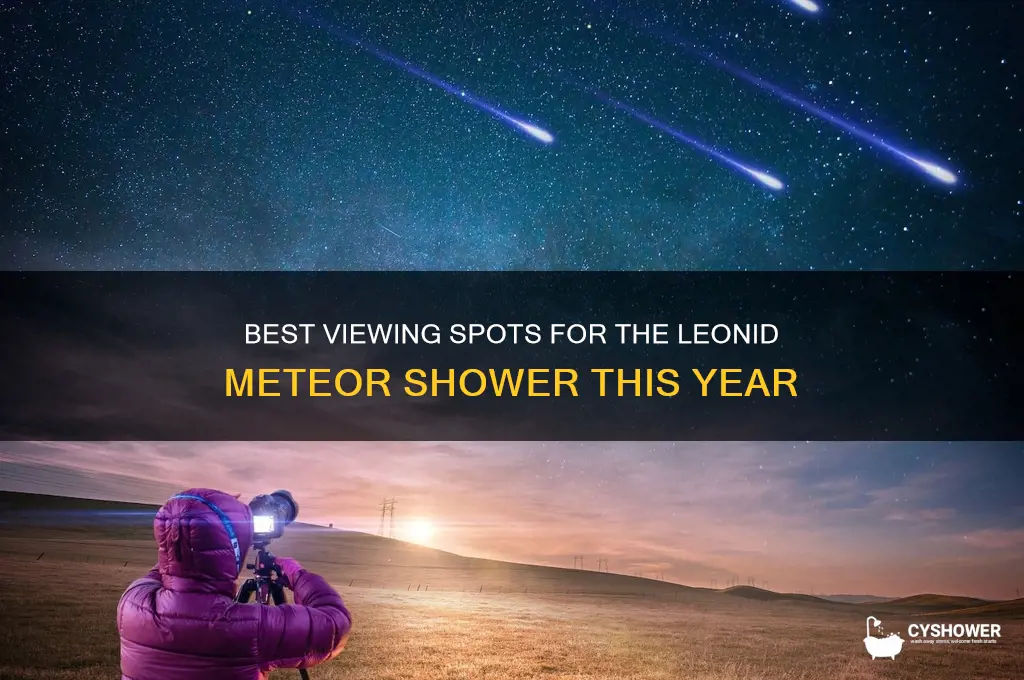 where can i see the leonid meteor shower