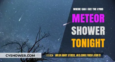 Best Spots to Watch the Lyrid Meteor Shower Tonight