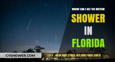 Best Spots to Watch Meteor Showers in Florida: A Stargazer's Guide