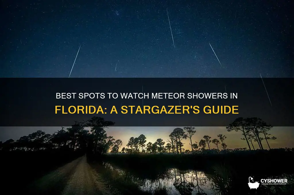 where can i see the meteor shower in florida