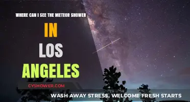 Best Spots to Watch Meteor Showers in Los Angeles