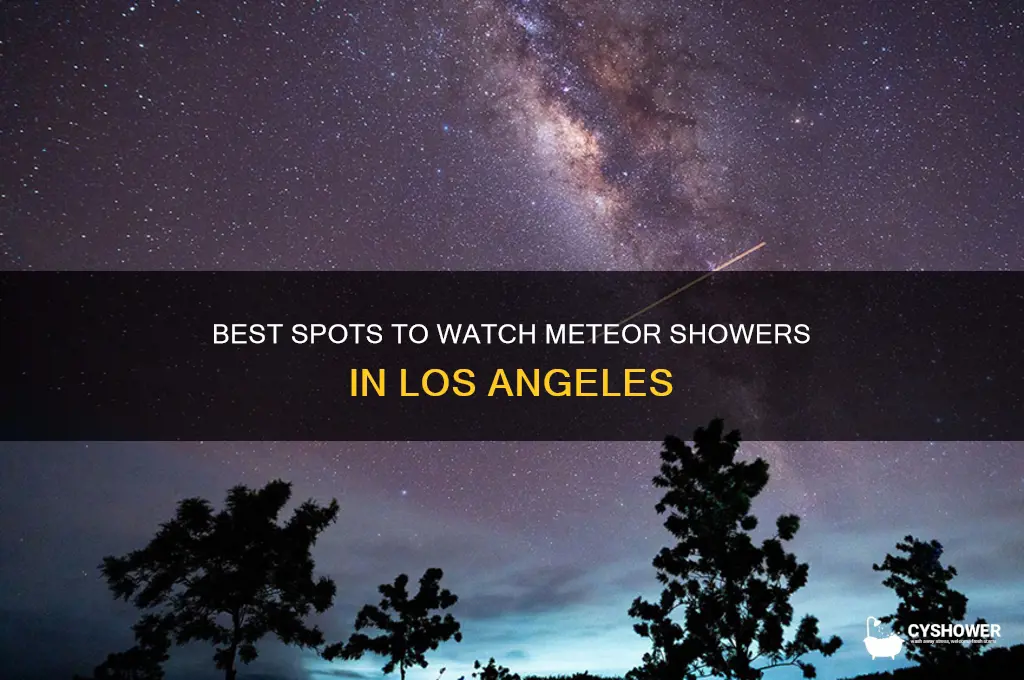 where can i see the meteor shower in los angeles