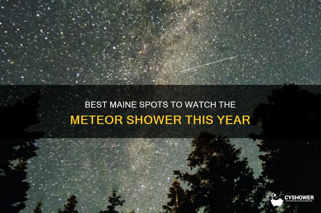 where can i see the meteor shower in maine