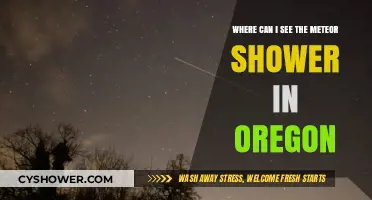 Best Oregon Spots to Watch the Meteor Shower This Year