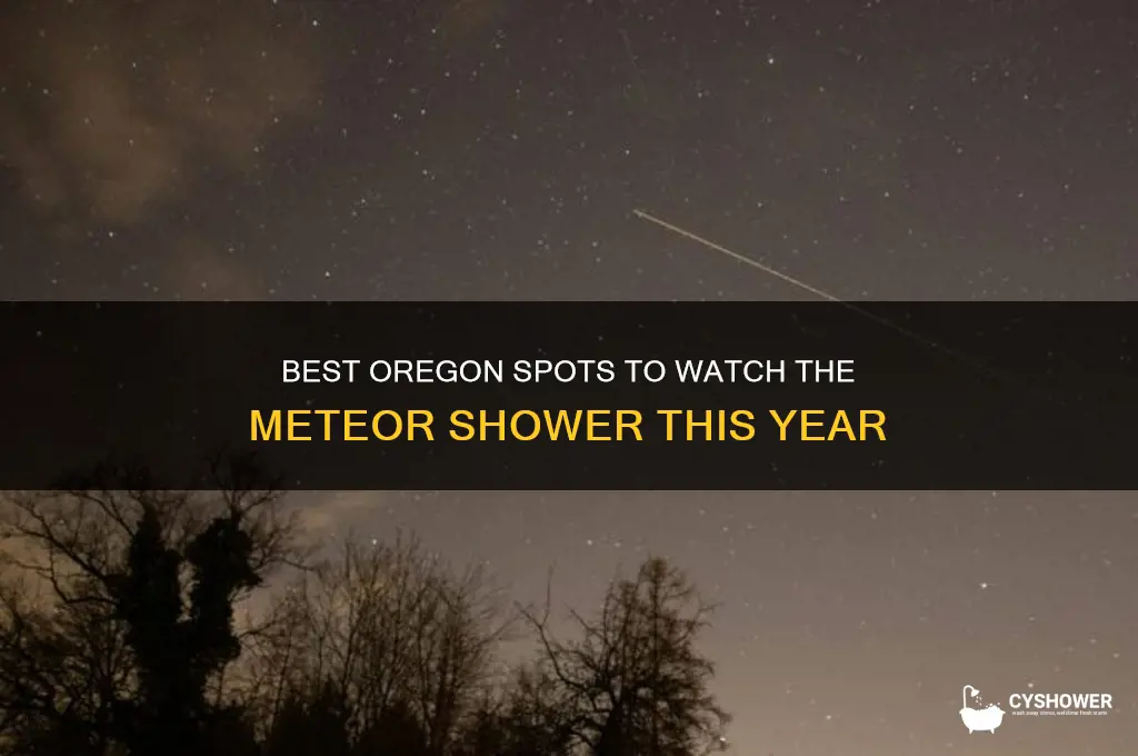 where can i see the meteor shower in oregon