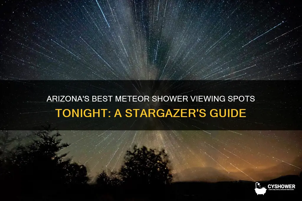 where can i see the meteor shower tonight in arizona