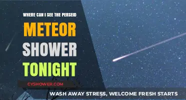 Best Viewing Spots for Tonight's Perseid Meteor Shower: A Guide