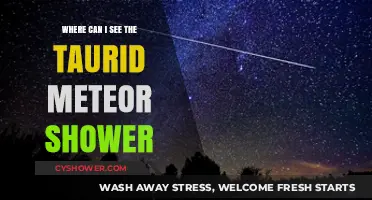 Best Viewing Spots for the Taurid Meteor Shower This Year