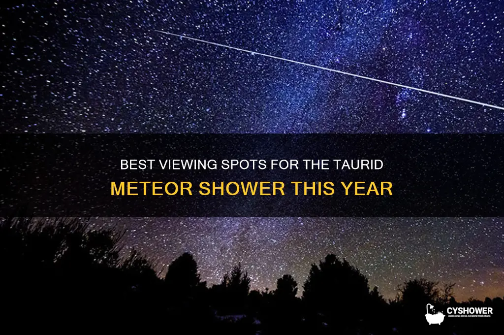 where can i see the taurid meteor shower