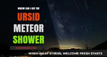 Best Viewing Spots for the Ursid Meteor Shower This Year