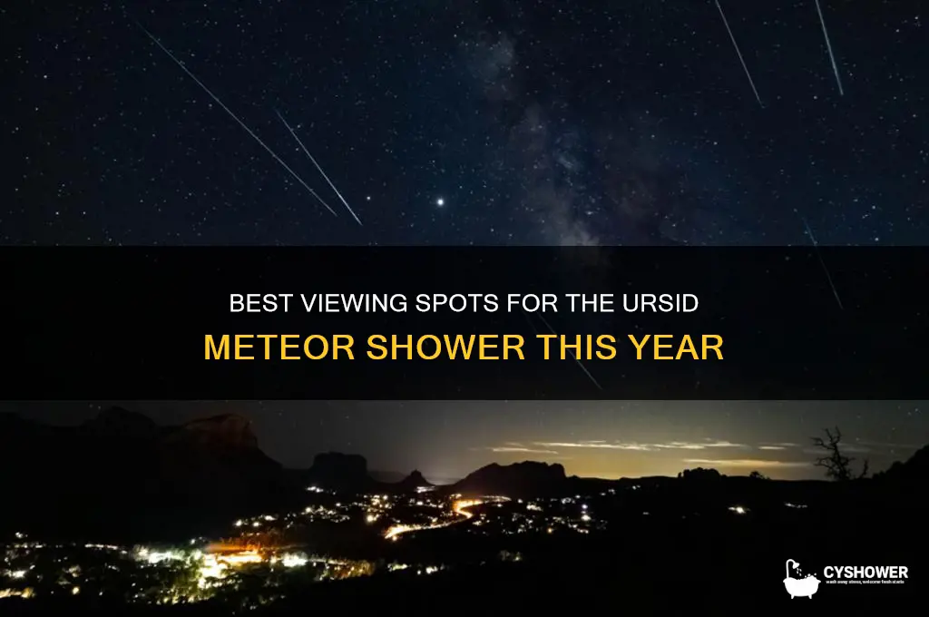 where can i see the ursid meteor shower