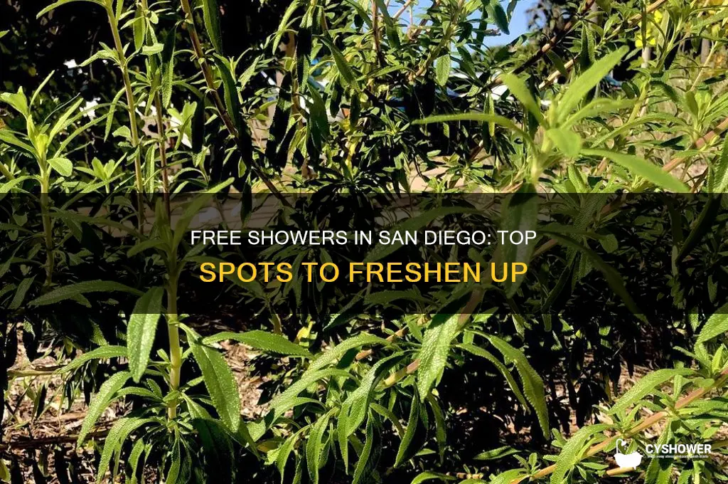 where can i take a free shower in san diego