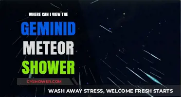 Best Spots to Watch the Geminid Meteor Shower This Year
