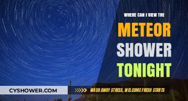 Best Spots to Watch Tonight's Meteor Shower: A Stargazer's Guide