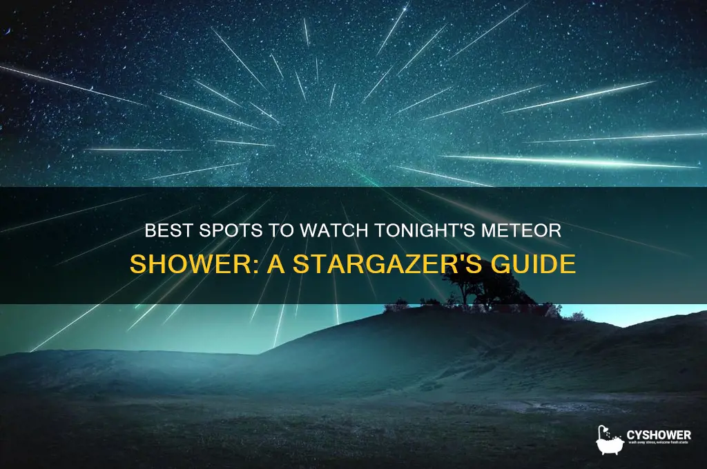 where can i view the meteor shower tonight