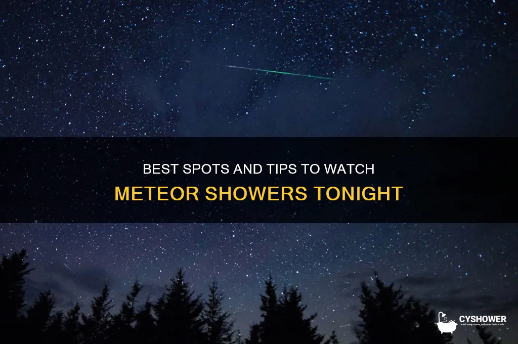 where can i watch a meteor shower