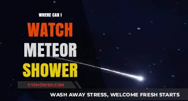 Best Spots and Streaming Options to Watch Meteor Showers Live